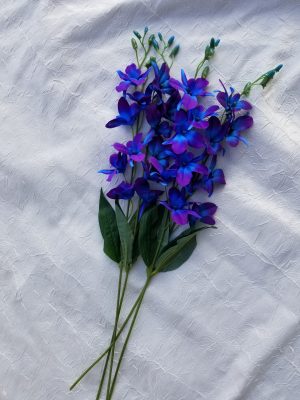 Purple blue galaxy orchid stems - Image 3