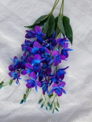 Purple blue galaxy orchid stems