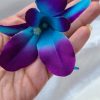 25 turquoise purple silk galaxy blooms - Image 3