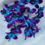 25 turquoise purple silk galaxy blooms