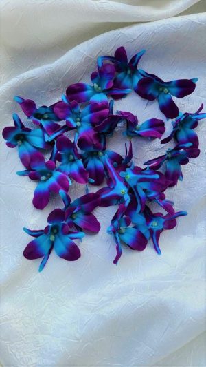 25 turquoise purple silk galaxy blooms