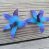 25 purple blue orchid blooms