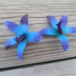 25 purple blue orchid blooms