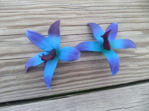 25 purple blue orchid blooms