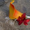 Calla lily, lily boutonniere, orange calla lily, yellow, orange autumn theme, boutonniere, button hole