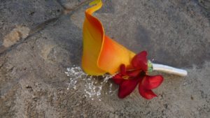 Calla lily, lily boutonniere, orange calla lily, yellow, orange autumn theme, boutonniere, button hole