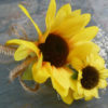 Sunflower corsage, boutonniere, button hole with baby's breath