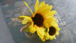 Sunflower corsage, boutonniere, button hole with baby's breath