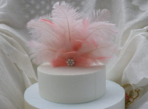Ostrich feather blush pink cake topper