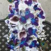 Cascading hydrangea galaxy orchid bouquet - Image 2