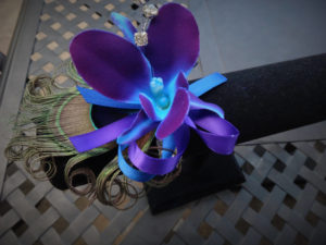 Peacock-orchid wrist corsage - Image 5