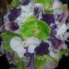 Plum and lime bouquet - Image 5