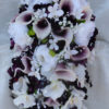 Plum and peony collection - Image 4