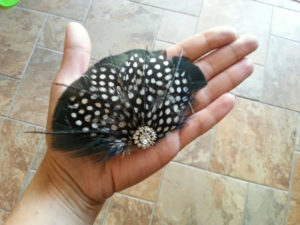 Black, guinea, polka dot feather clip, feather accessory, feather fascinator - Image 3