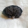 Black, guinea, polka dot feather clip, feather accessory, feather fascinator - Image 2