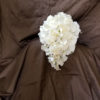 Ivory, cream cascading bridal bouquet - Image 6