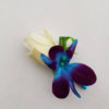 Rose galaxy orchid boutonniere, purple blue orchid boutonniere, rose and orchid boutonniere