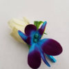 Rose galaxy orchid boutonniere, purple blue orchid boutonniere, rose and orchid boutonniere - Image 2