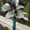Calla lily peacock bridal bouquet - Image 2