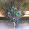 Peacock calla lily fan bouquet - Image 3