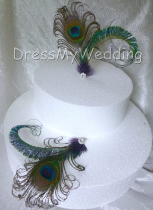 Wedding cake decor, peacock cake decor, Set of 2 - Image 4