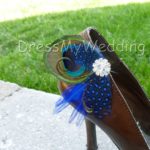 Peacock shoe clips, Customizable