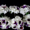 White hydrangea plum picasso calla lily small bridesmaids bouquet, plum orchids - Image 3
