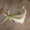 Real touch calla lily finger starfish hair piece, Customizable, beach wedding, calla lily, starfish, destination wedding - Image 3