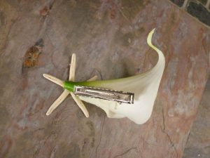 Real touch calla lily finger starfish hair piece, Customizable, beach wedding, calla lily, starfish, destination wedding - Image 3