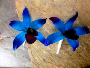 Purple blue orchid boutonniere, dendrobium orchid boutonniere, button hole, galaxy orchid
