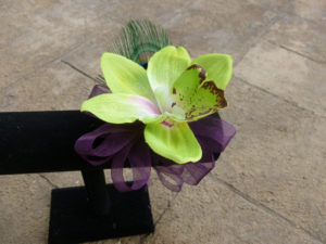 cymbidium  orchid corsage, wrist corsag, peacock feather