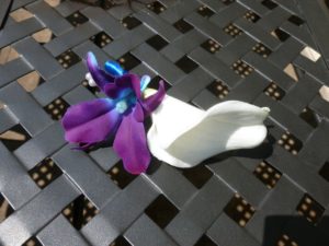 Calla lily galaxy orchid boutonniere