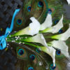 Calla lily peacock fan bouquet - Image 5