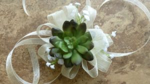 Succulent wrist corsage, echeveria corsage with baby's breath - Image 2
