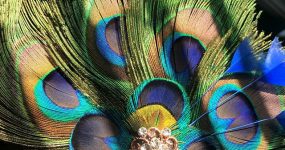 Peacock hair accessory