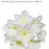 Bridal bouquet set, deposit - Image 2